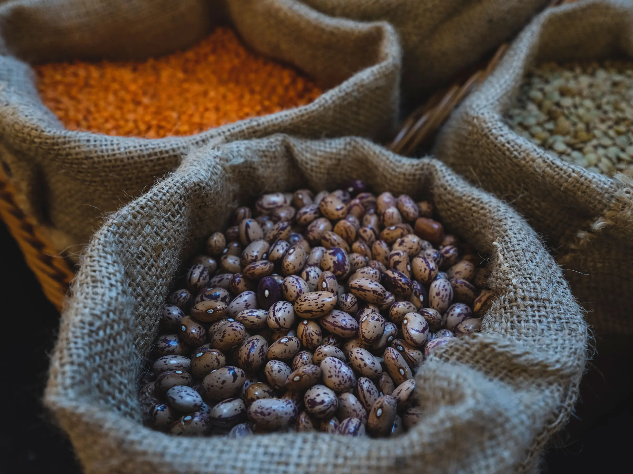 Assorted dry beans and grains in open market sacks